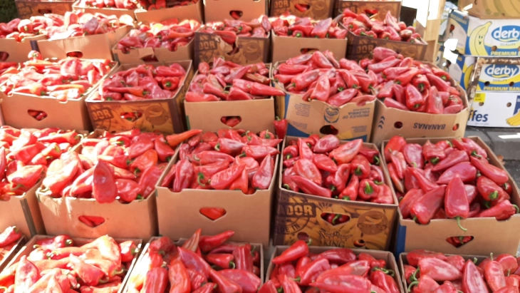 ДИЗ за македонските пиперки во Хрватска: Инспекции кај извозникот, откупувачите и производителите, црвените пиперки не се вратени во Македонија