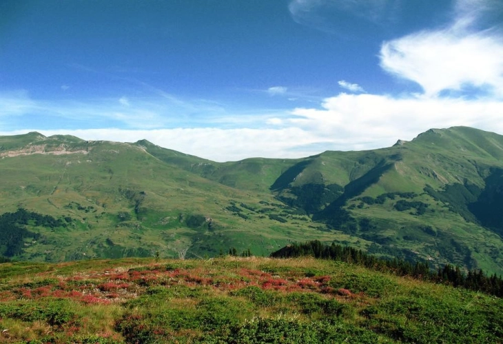 Министерството за животна средина ќе додели финансиски средства на националните паркови „Шар Планина“ и „Пелистер“