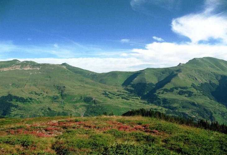 Ministria e mjedisit ndan mjete financiare për parqet nacionale “Mali Sharr” dhe “Pelister”