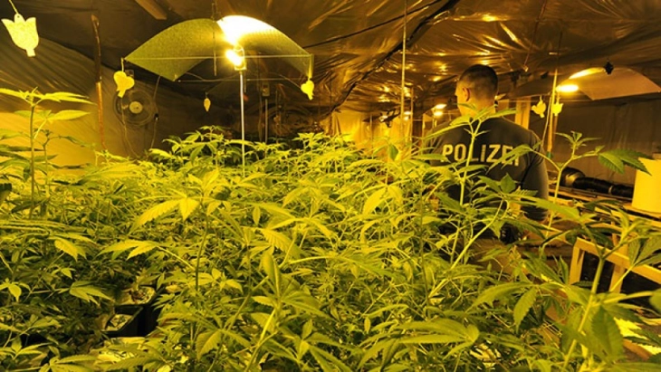 Германија ја ограничува продажбата на канабис преку интернет