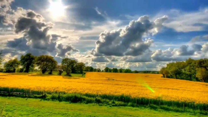 Европратениците повикаа на целосна имплементација на законодавството на ЕУ за животната средина  