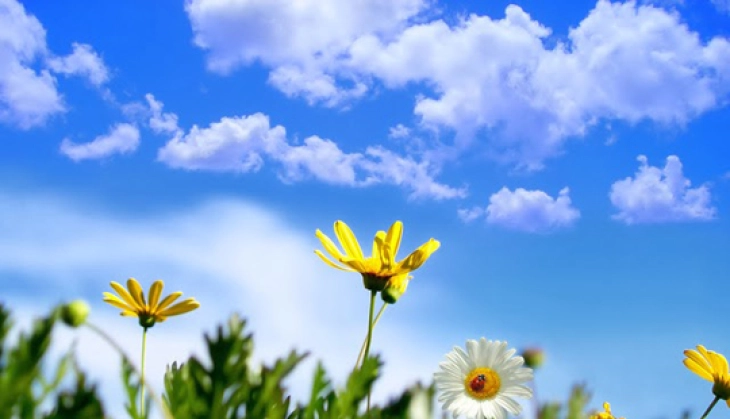 Weather: Sunny and slightly overcast