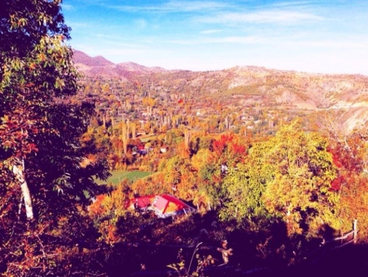 Ќе се гради авантуристички парк во Студено, област Голо Брдо, нов чекор за туристичко оживување на областа