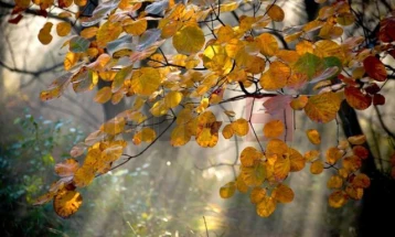 Mot me vranësira dhe periudha me diell, nga e mërkura shi