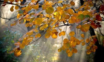 Weather: Overcast with sunny spells