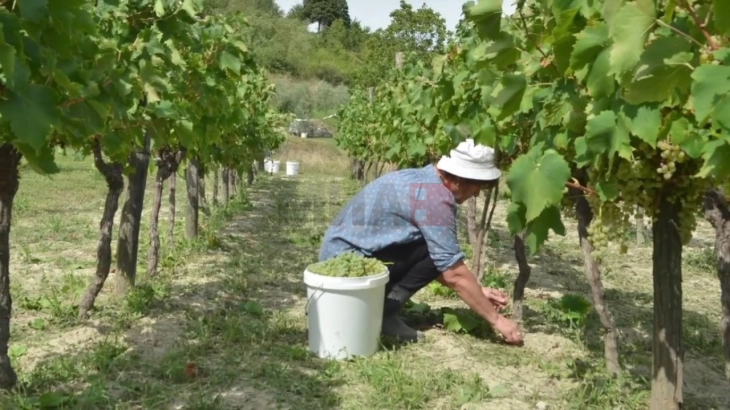 Одбележување на Меѓународниот ден на руралните жени