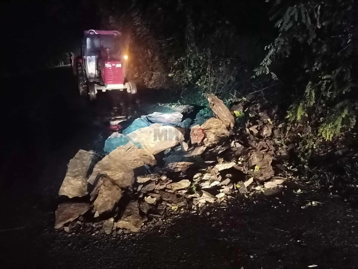 Одрон на карпа на регионален пат кон Градско, нема повредени