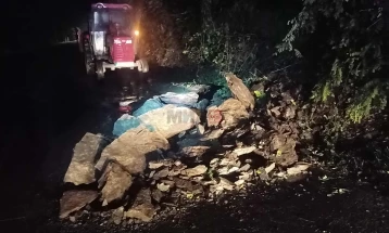 Одрон на карпа на регионален пат кон Градско, нема повредени