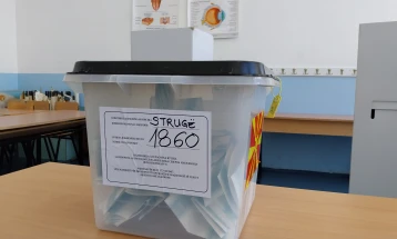 Gjithsej 296 persona të sëmurë dhe të pafuqishëm dhe shtatë të burgosur votojnë sot për kryetar të Strugës dhe anëtarë të këshillit