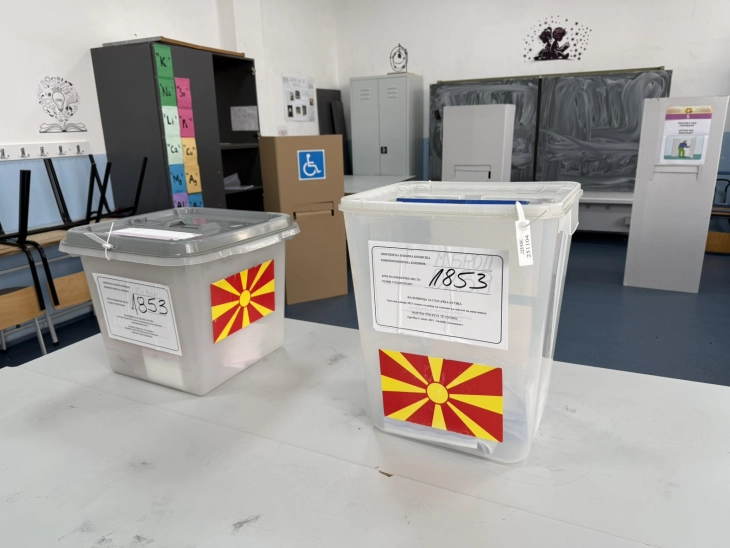 До 15 часот во Струга излезност од 27 отсто, во Вевчани 51 процент