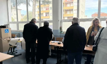 До 17 часот во Струга излезност 35,2 отсто, во Вевчани над 61 проценти 