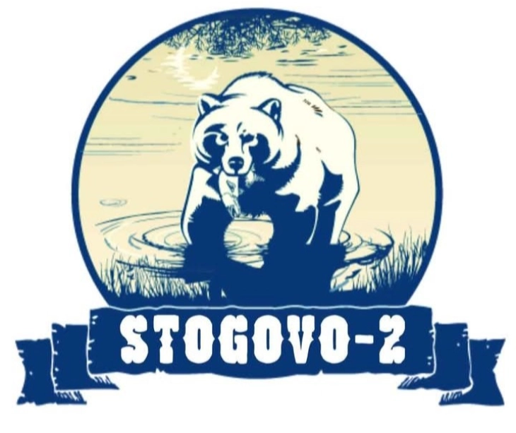 Препораки од здружението „Стогово“ откако мечка беше видена и на булеварот во Дебар