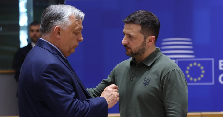 Украина прифати 5 од 11 барања на Унгарија за правата на малцинствата во образованието