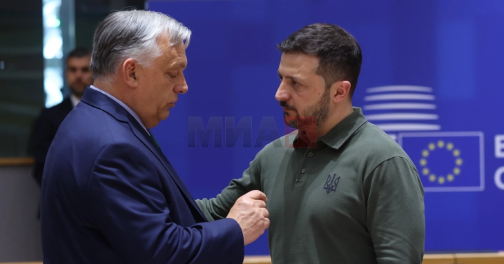 Ukraina pranoi 5 nga 11 kërkesat e Hungarisë për të drejtat e pakicave në arsim