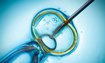 Скандал во Белгија: Инспектори утврдиле сериозни пропусти во центрите за плодност 