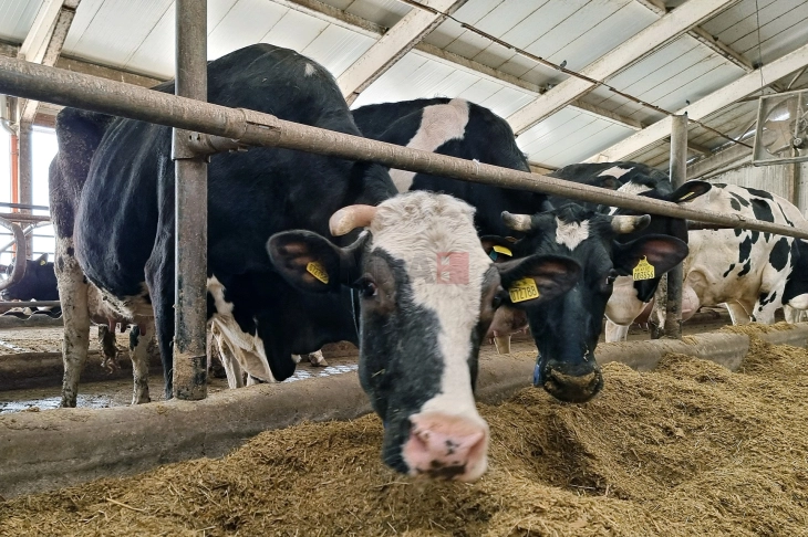 Органските земјоделци во Бугарија се зголемуваат за над 20 проценти годишно во последните две години, изјави заменик-министерот Јанислав Јанчев