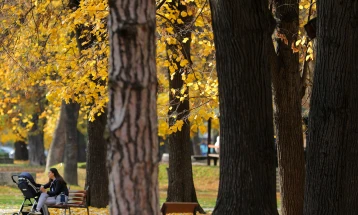 Në mëngjes mot i kthjellët dhe i ftohtë, gjatë ditës temperatura deri 20 gradë