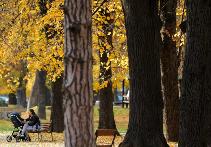 Clear and cold morning, highs reaching 20°C