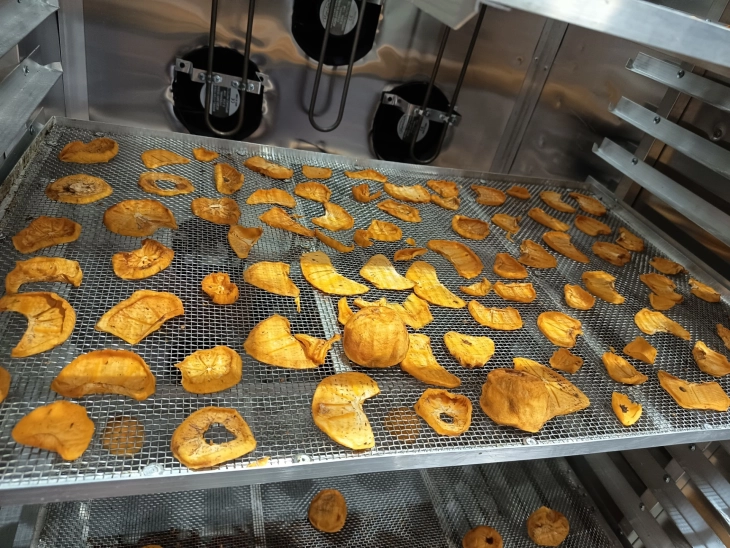 Екологисти од Неготино сушат јапонски јаболки во соларна сушара 