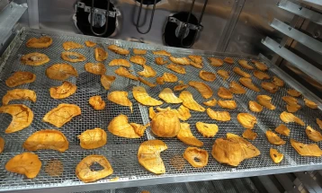 Екологисти од Неготино сушат јапонски јаболки во соларна сушара 