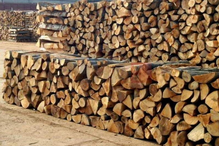 Zvogëlohet prodhimi total i produkteve pyjore në pyjet shtetërore