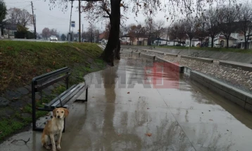 Mot me vranësira me reshje lokale të shiut