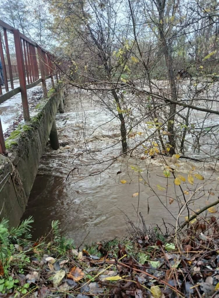 Се санираат критични точки на Пчиња во Старо Нагоричане