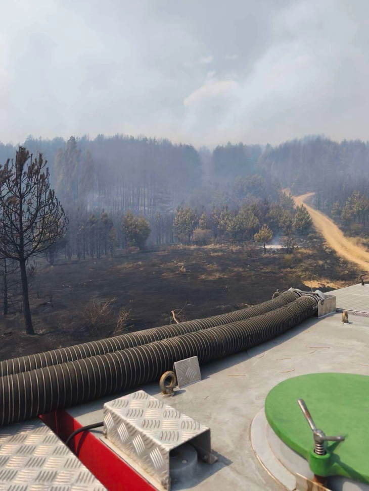Општините Штип, Карбинци, Радовиш и Конче имаат заеднича Стратегија за справување со пожари на отворено