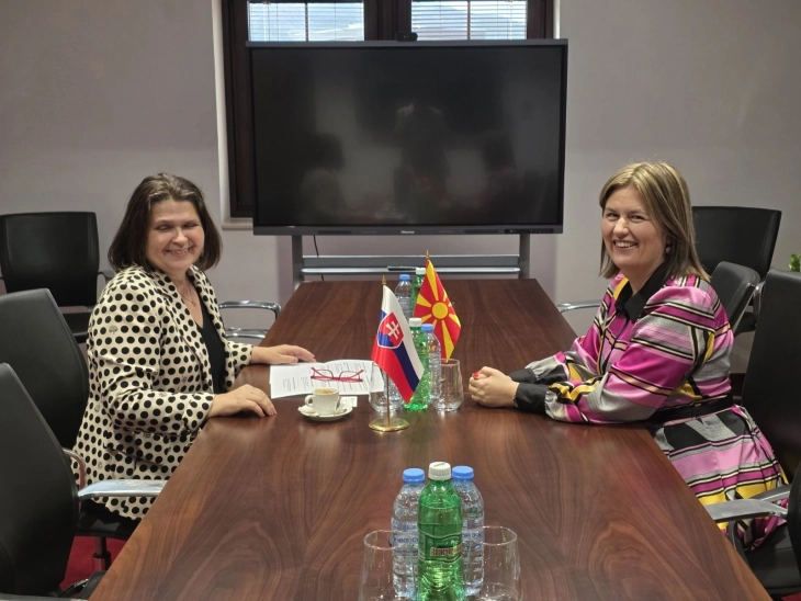 Minister Bozhinovska meets Slovak Ambassador Hricová, highlight potential for larger cooperation in energy sector