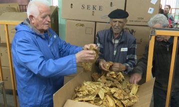 Откупот на тутунот не е интензивиран, компаниите тактизираат