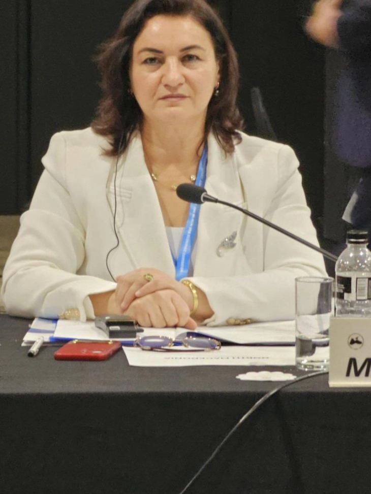 Адили-Емини: Учеството во ПАБСЕК е потврда на посветеноста на соработката, мирот и заедничкиот развој