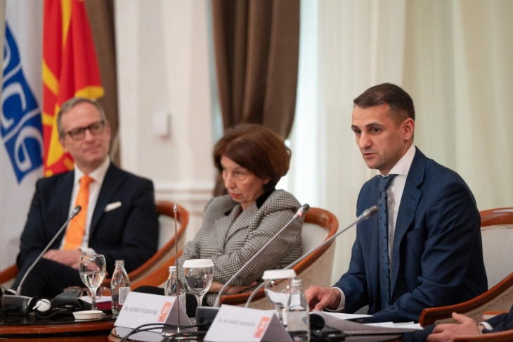 Велковски: Насилството врз жената и семејното насилство не е приватна работа, тоа е општествен, културолошки и системски проблем