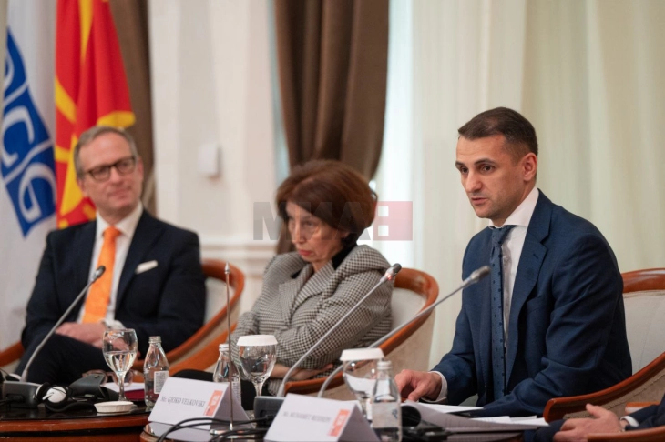 Vellkovski: Dhuna ndaj grave dhe dhuna në familje nuk është çështje private, është problem shoqëror, kulturor dhe sistemik