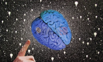 Научно истражување: Четири клучни возрасти за мозокот