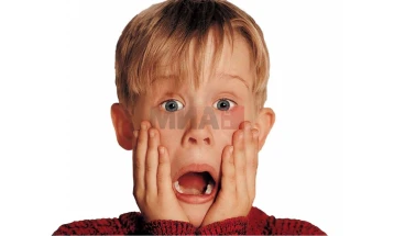 Меколи Калкин има идеја за продолжение на „Сам дома“