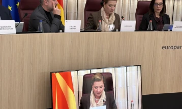 Од 24. состанок на МПК Северна Македонија – ЕУ во Стразбур: Реформите продолжуваат, РС Македонија заслужува да ги почне преговорите