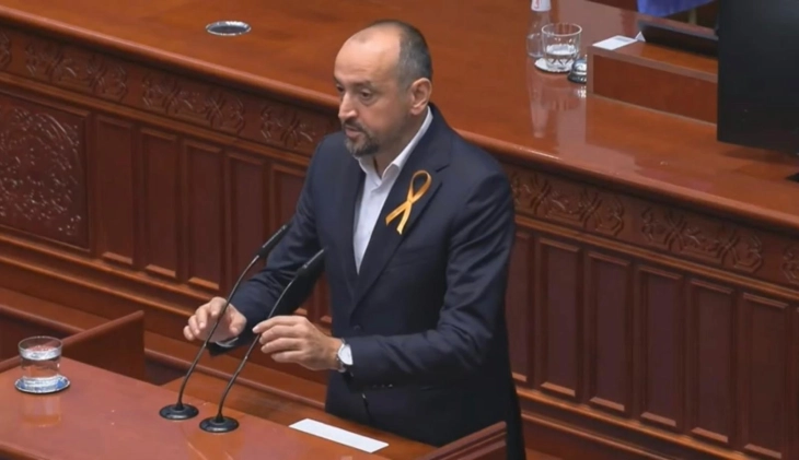 Битиќи: Власта ја ограничува мобилноста на граѓаните со високи трошоци за зелен картон