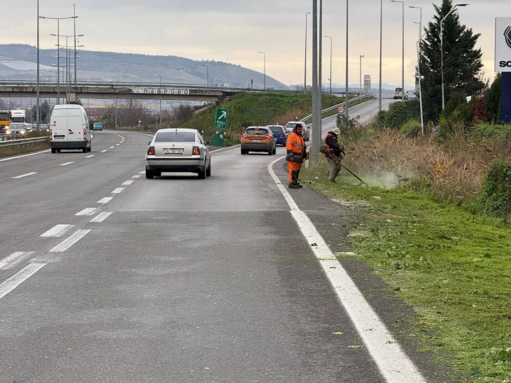 ЈПДП: Расчистување на вегетацијата на клучките на автопатот А1, безбедноста врвен приоритет