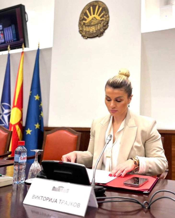 Pavarësisht përkatësisë politike, qëllimi ynë i përbashkët duhet të jetë anëtarësimi në BE, porositi Trajkov para grupit parlamentar për Procesin e Berlinit dhe Agjendën reformuese