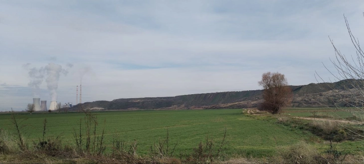 Вработени во РЕК Битола ќе засадат 10,000 садници во атарот на комбинатот