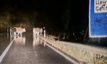 Предложен притвор за три лица од кривопаланечко кои спречувале службеници во вршење должност