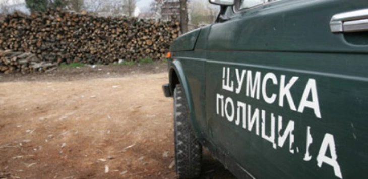 Приведен дрвокрадец од село Мартолци, Општина Чашка