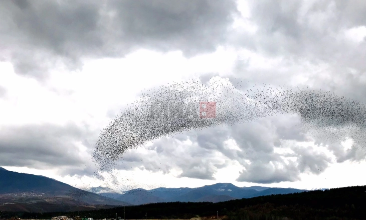 Më ftohtë në Berovë dhe Hanet e Mavrovës, më shumë shi në Gjevgjeli