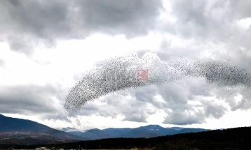 Më ftohtë në Berovë dhe Hanet e Mavrovës, më shumë shi në Gjevgjeli