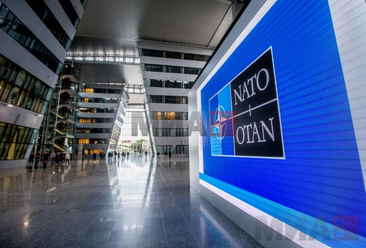 Të gjitha vendet skandinave nën komandën e Norfolit: Aleanca përforcon pjesëmarrjen e saj në veri