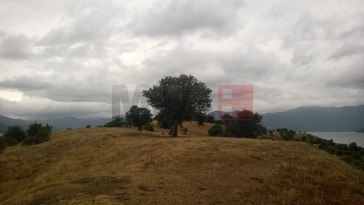 Moti sot me vranësira dhe reshje shiu, temperaturat deri në 12 gradë