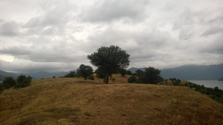 Weather: Cloudy skies, scattered rain; high 12°C