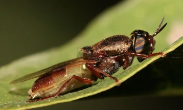 Фарма за муви во Виена произведува ѓубриво
