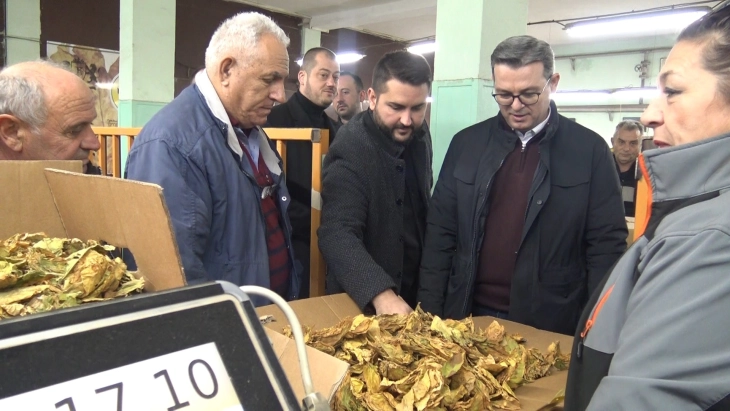 Трипуновски: Откупот на тутунот се одвива без проблеми, откупени 1 700 000 килограми по 419, 68 денари