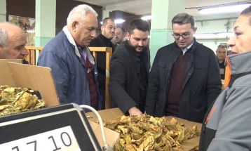 Трипуновски: Откупот на тутунот се одвива без проблеми, откупени 1 700 000 килограми по 419, 68 денари